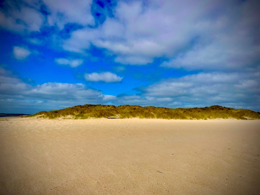 Ellenbogen-List必去景点