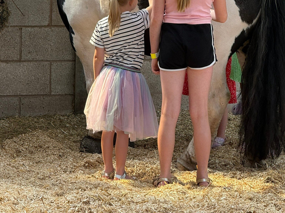 World Horse Welfare Penny Farm-黑潭必去景点