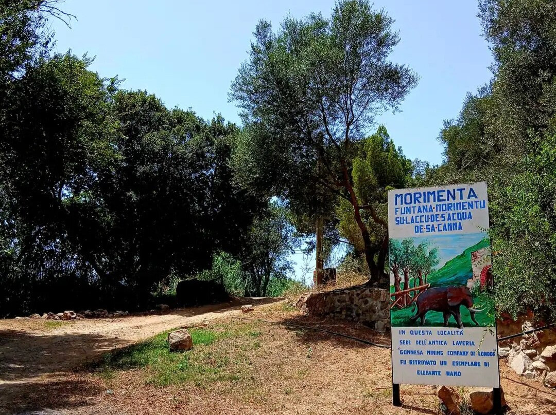 Scuderie De Morimenta主图