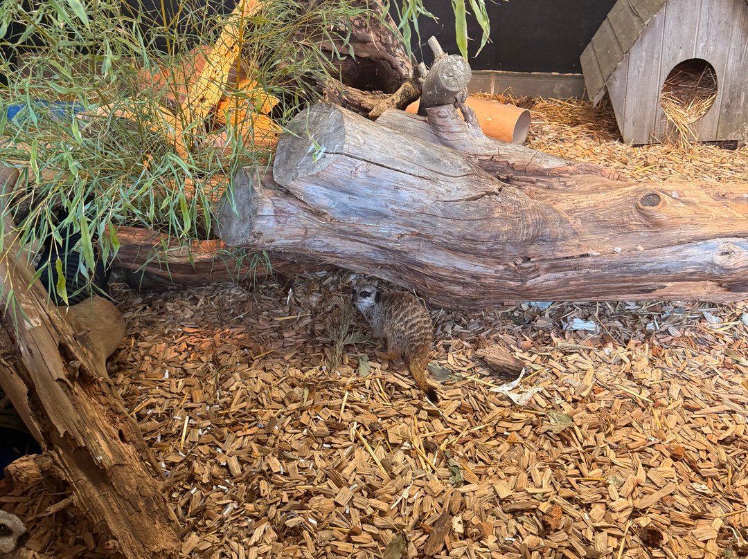 Lee Valley Animal Adventure Park-沃尔萨姆阿比必去景点