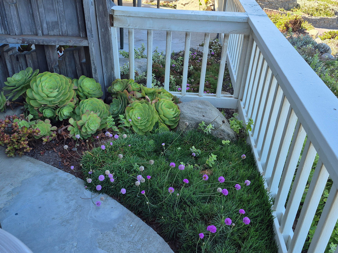 砂卵石酒店主图