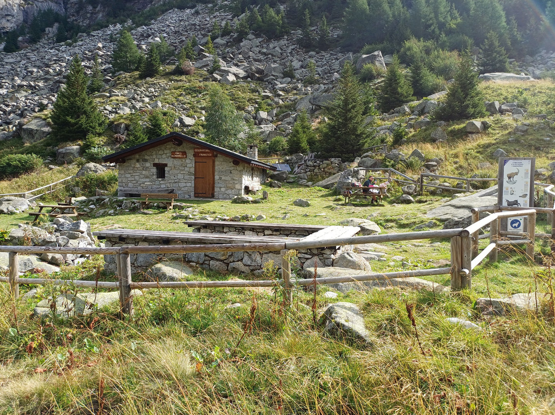 Rifugio Sandro Occhi all'Aviolo