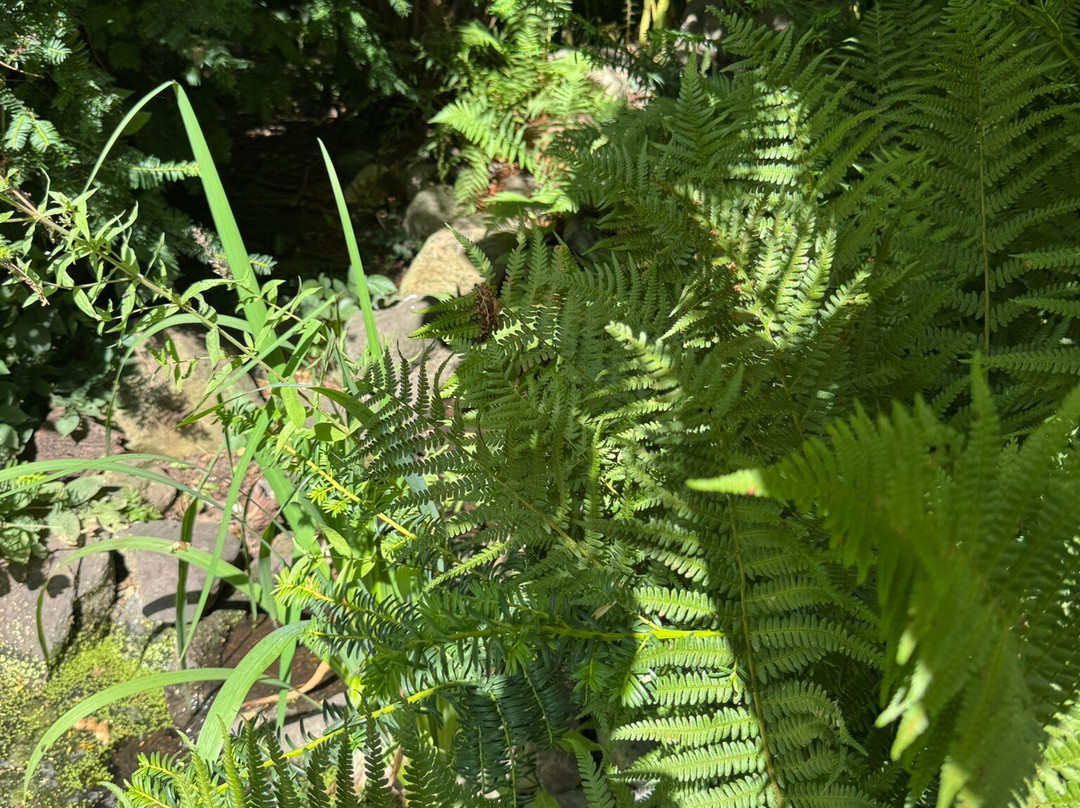 The Hidden Garden-芬洛必去景点
