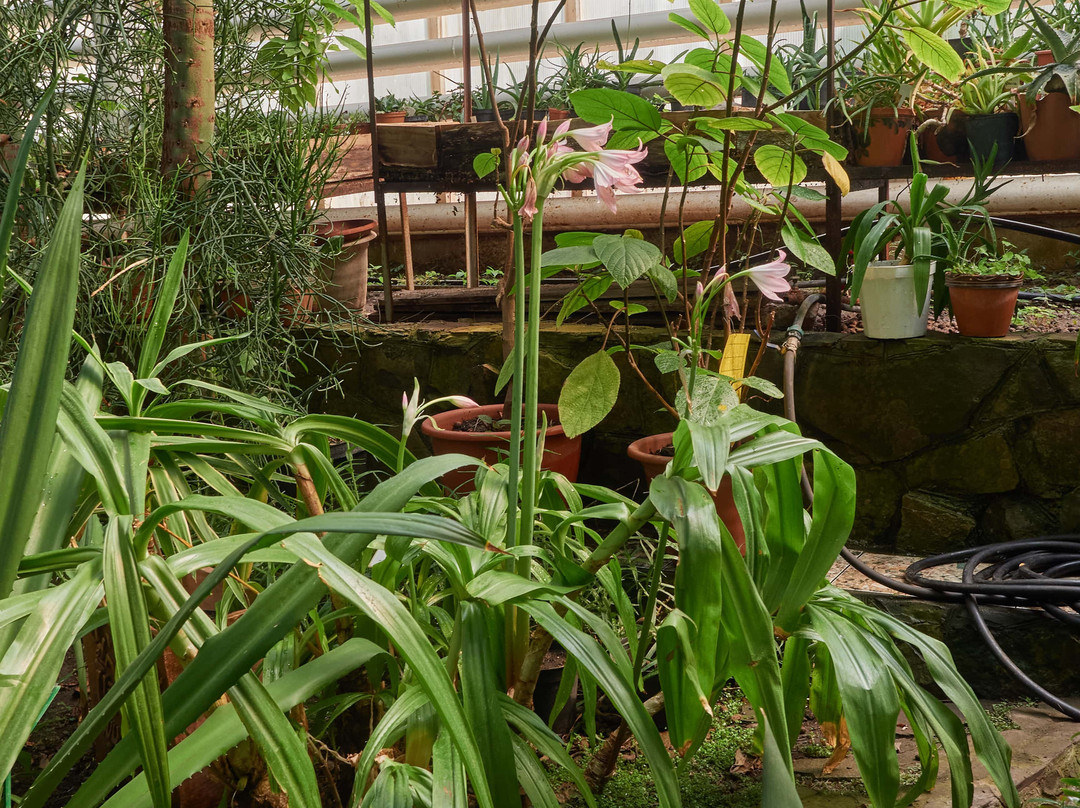 Ufa Botanical Garden-乌法必去景点