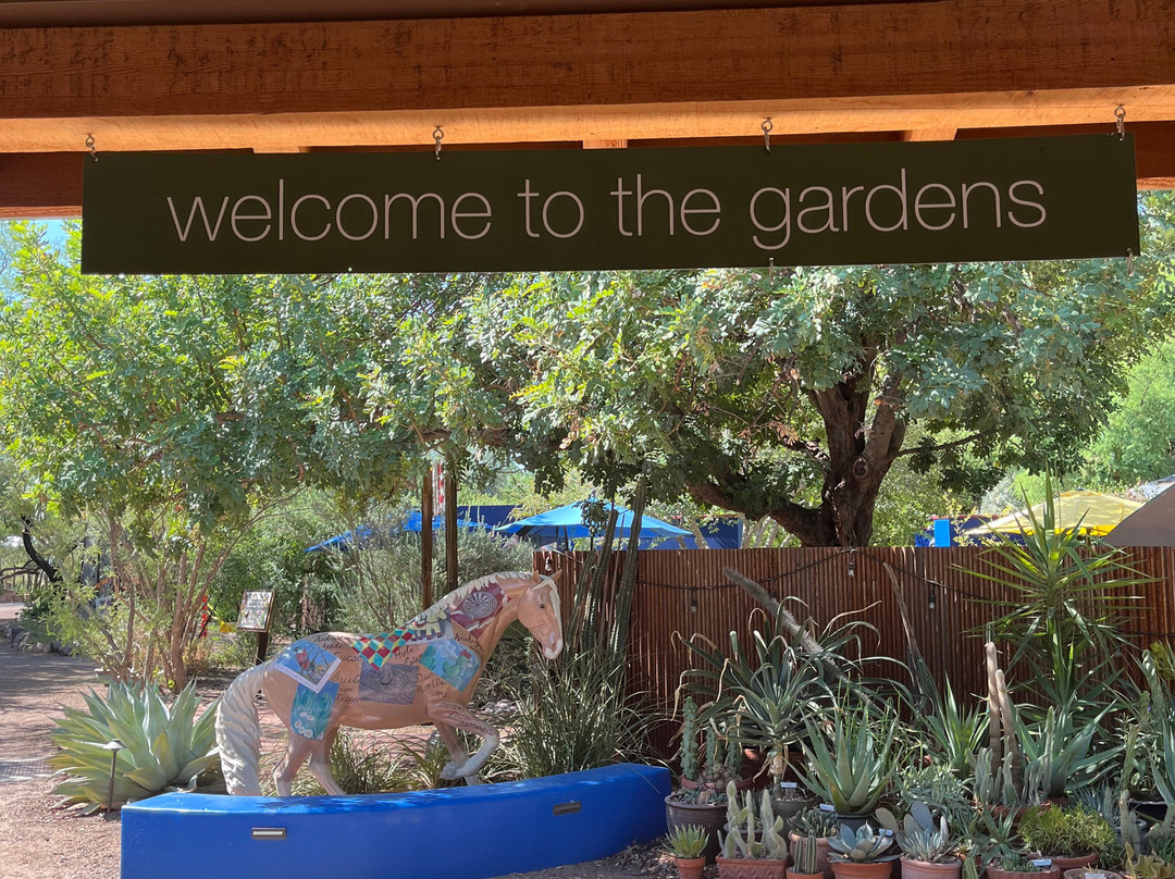 Tucson Botanical Gardens-图森必去景点