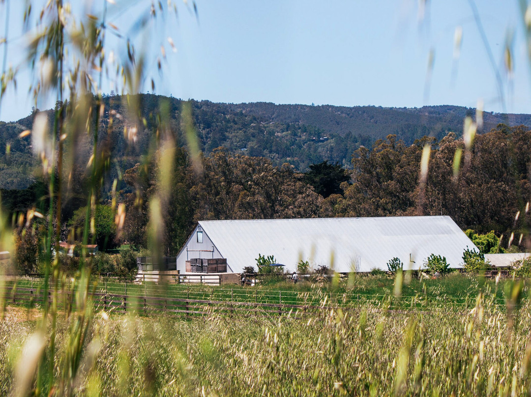 Heidrun Meadery-Point Reyes Station必去景点