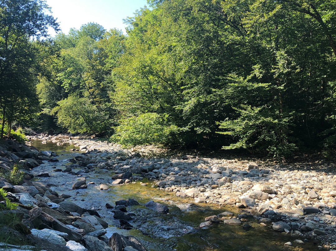 Northern Lights Lodge主图