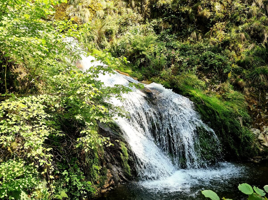 Allerheiligen Wasserfalle-Oppenau必去景点