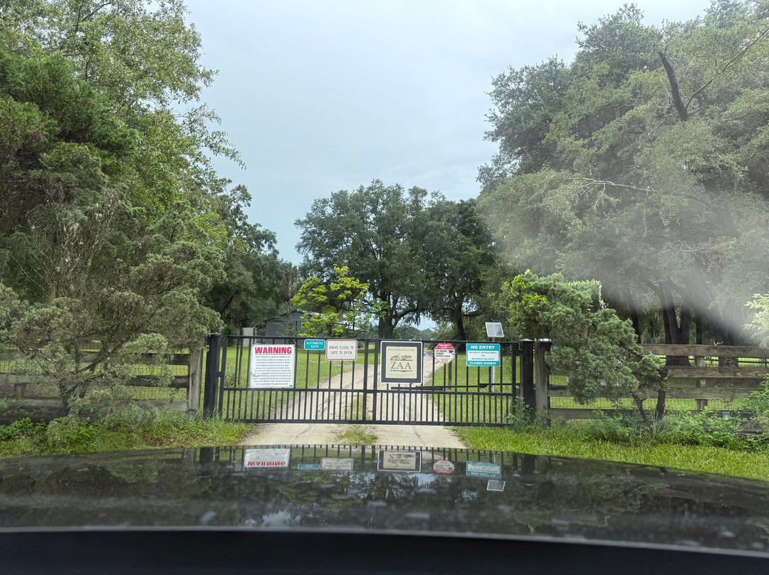 Carson Springs Wildlife Conservation Foundation-盖恩斯维尔必去景点