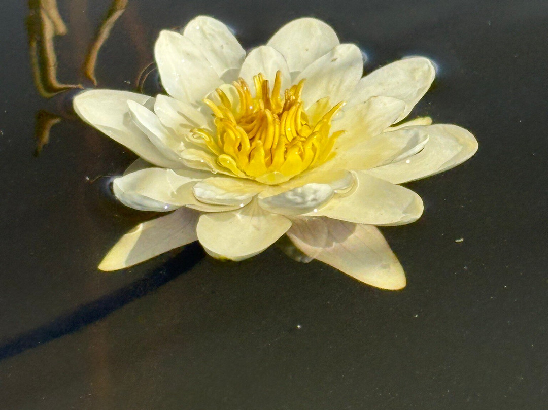 WildOslo-奥斯陆必去景点