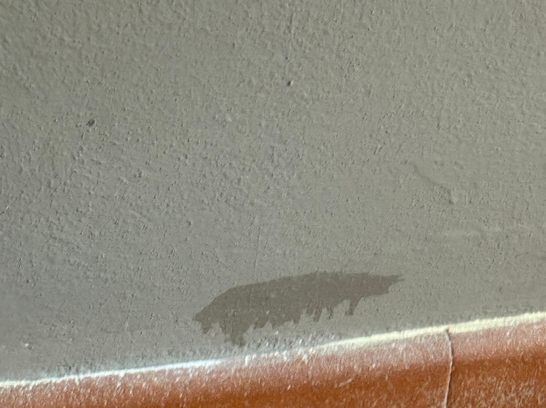 博尔戈圣路易吉酒店主图