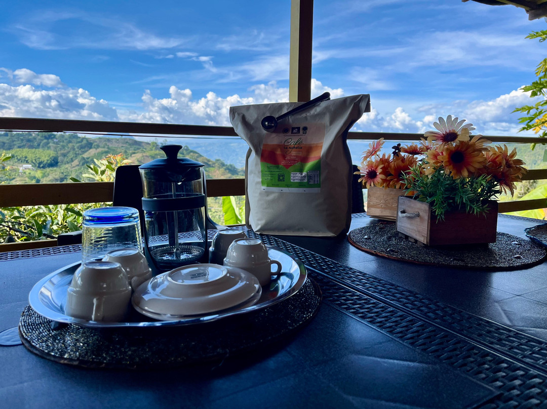 Ecoturismo La Nohelia-Jerico必去景点