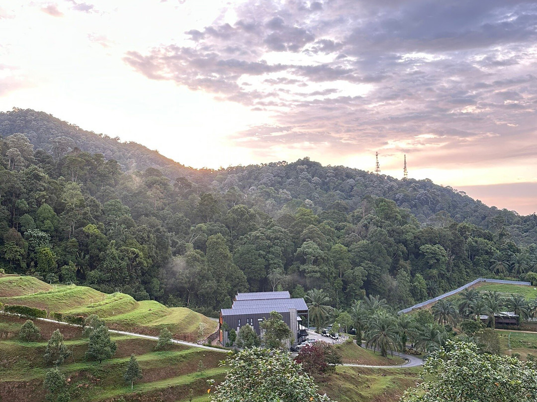 Talula Hill Farm Resort-居銮必去景点