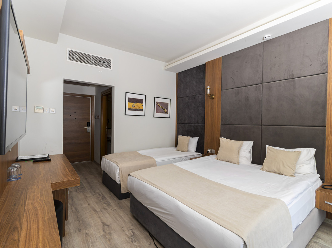 Mimoza Beach Hotel主图