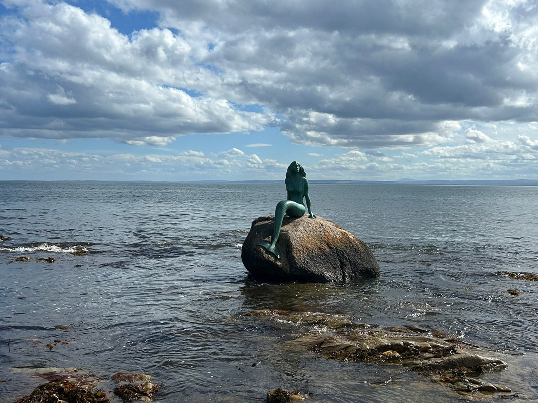 Mermaid of the North-Balintore必去景点