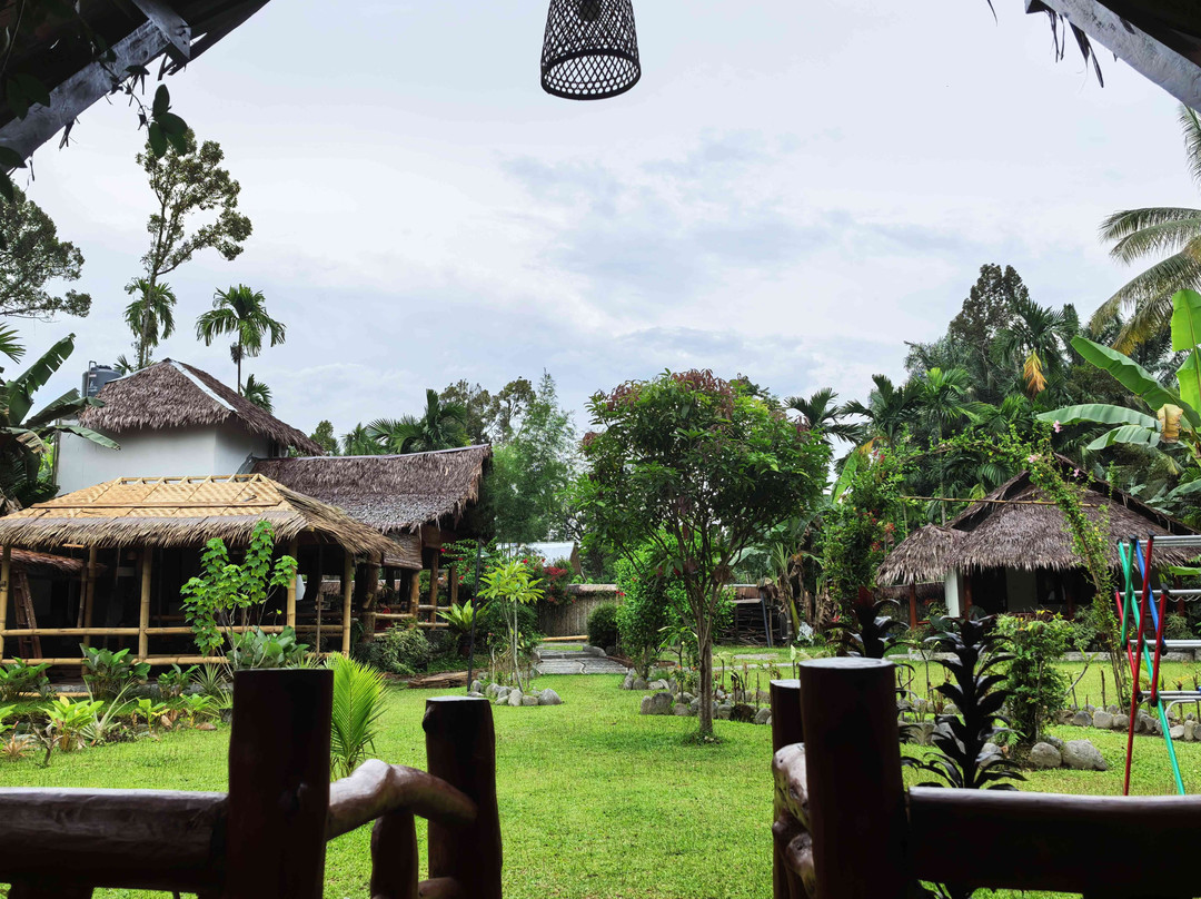 Sumatra Cheeky Monkeys主图