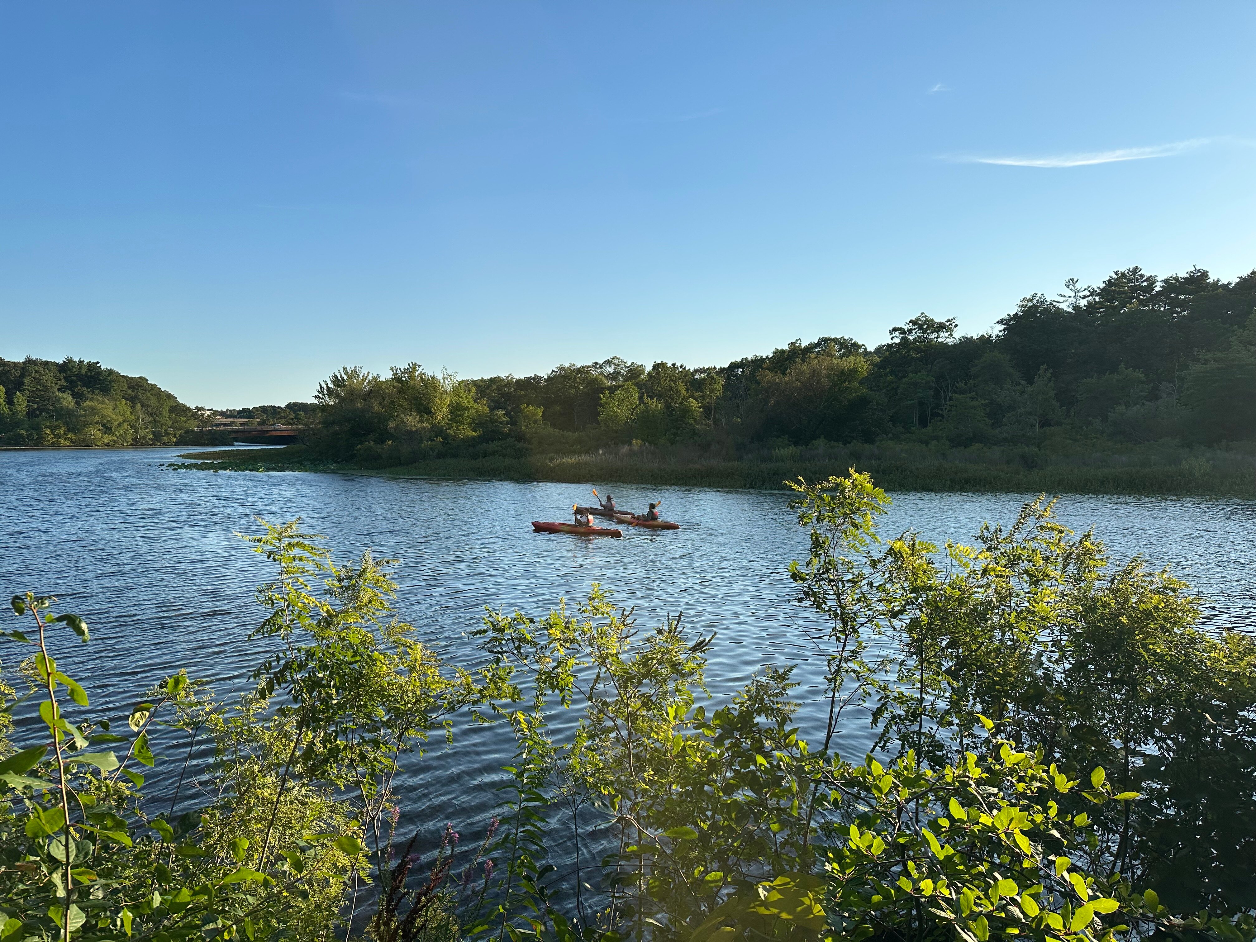 波士顿牛顿万豪酒店-官方