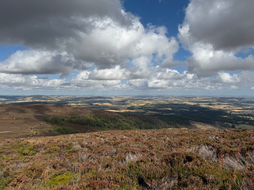 Bennachie Hill Walks-阿伯丁必去景点