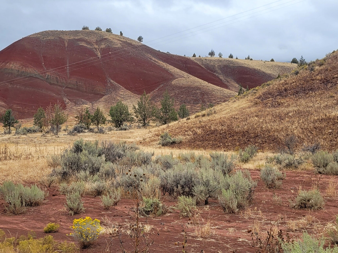 John Day Fossil Beds National Monument, Painted Hills Unit-Dayville必去景点