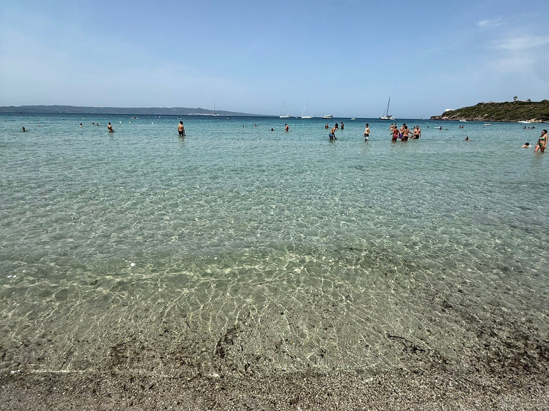 Spiaggia delle Saline-Calasetta必去景点