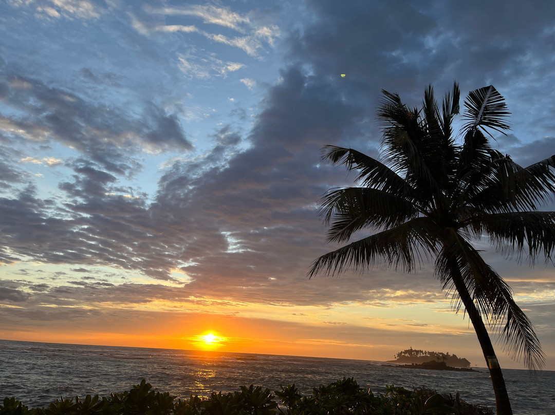 Rubik's Tours (pvt) Ltd-科伦坡必去景点