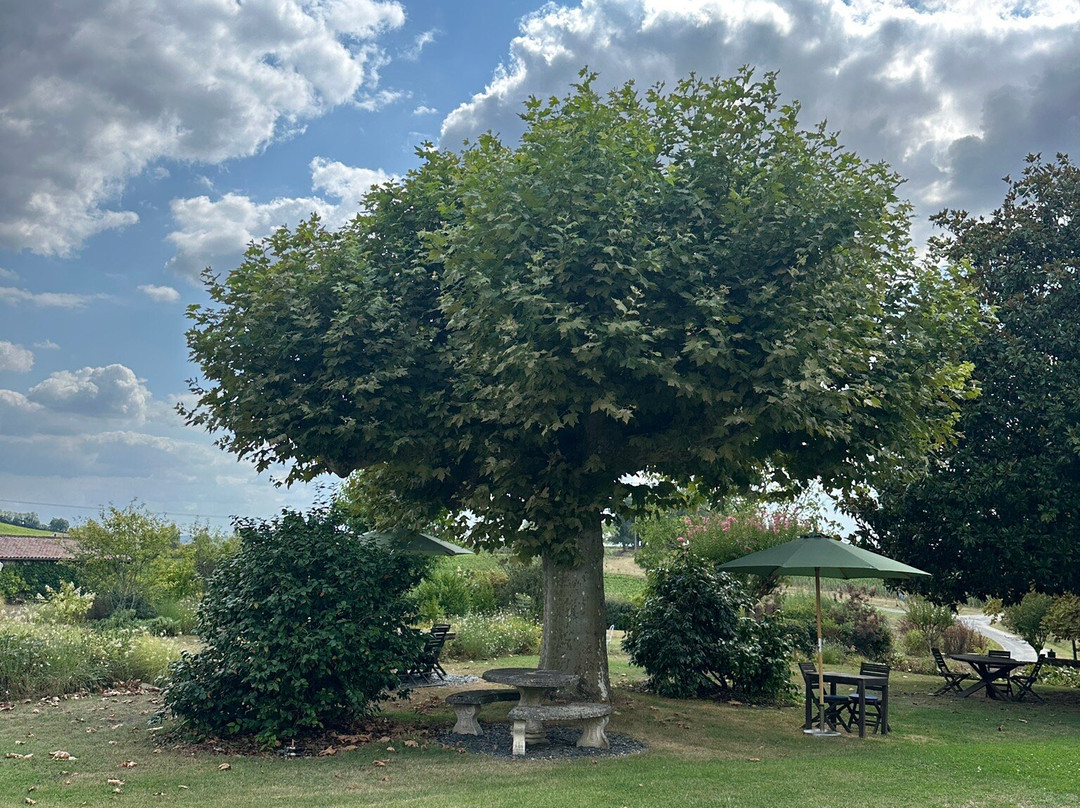 Chateau Du Palanquey and spa主图