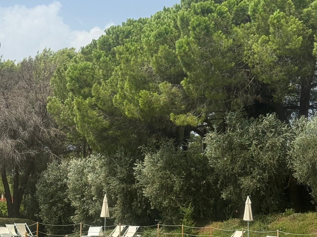 Fattoria Di  Magliano主图