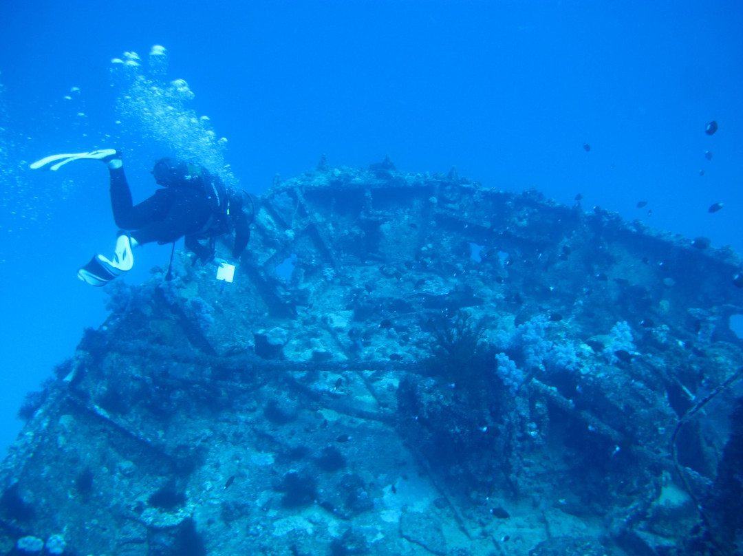 Emperator Diving Center-大湾必去景点