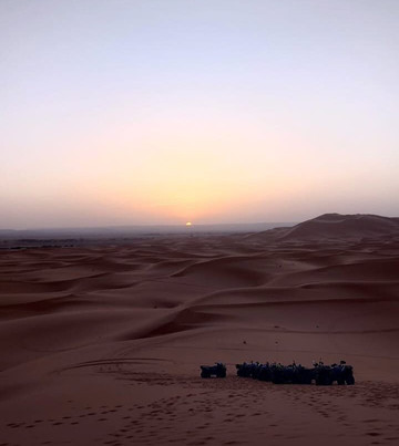 Traveling Sahara-伊拉悉迪亚必去景点