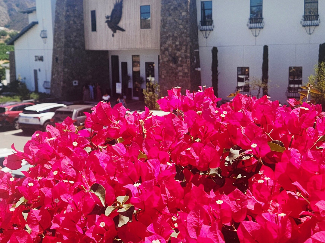 Lorimar Vineyards and Winery-特曼库拉必去景点