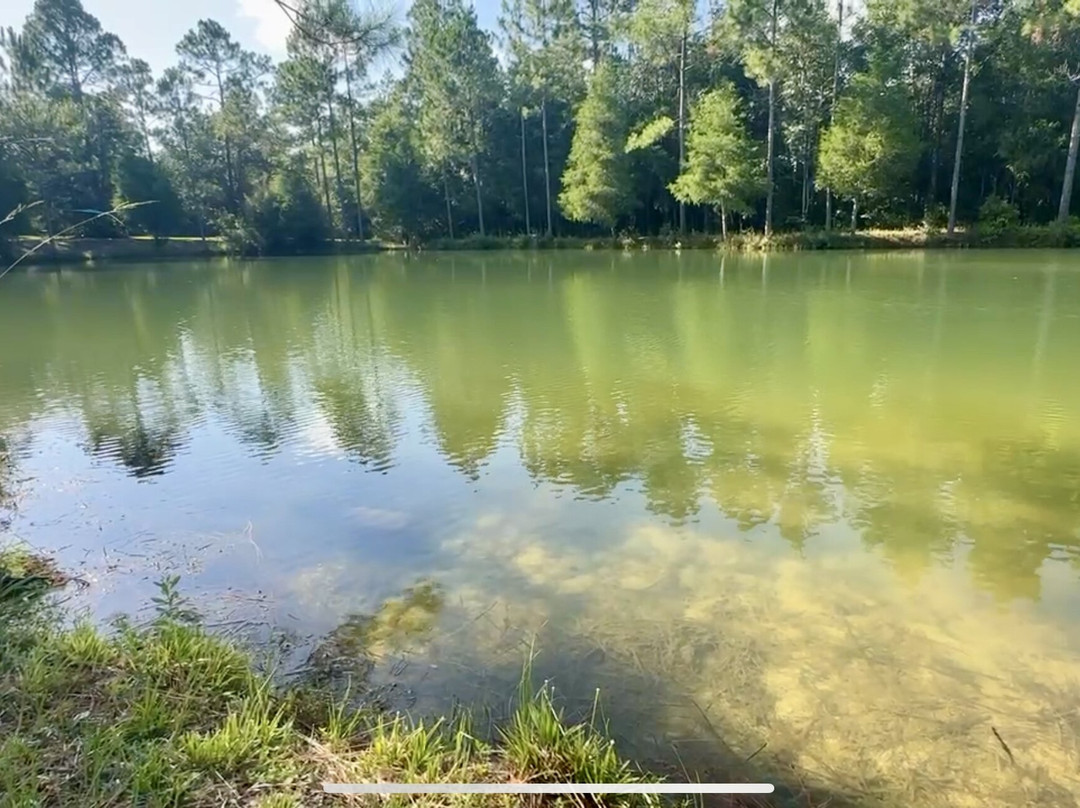 Blackwater Joe's-Holt必去景点