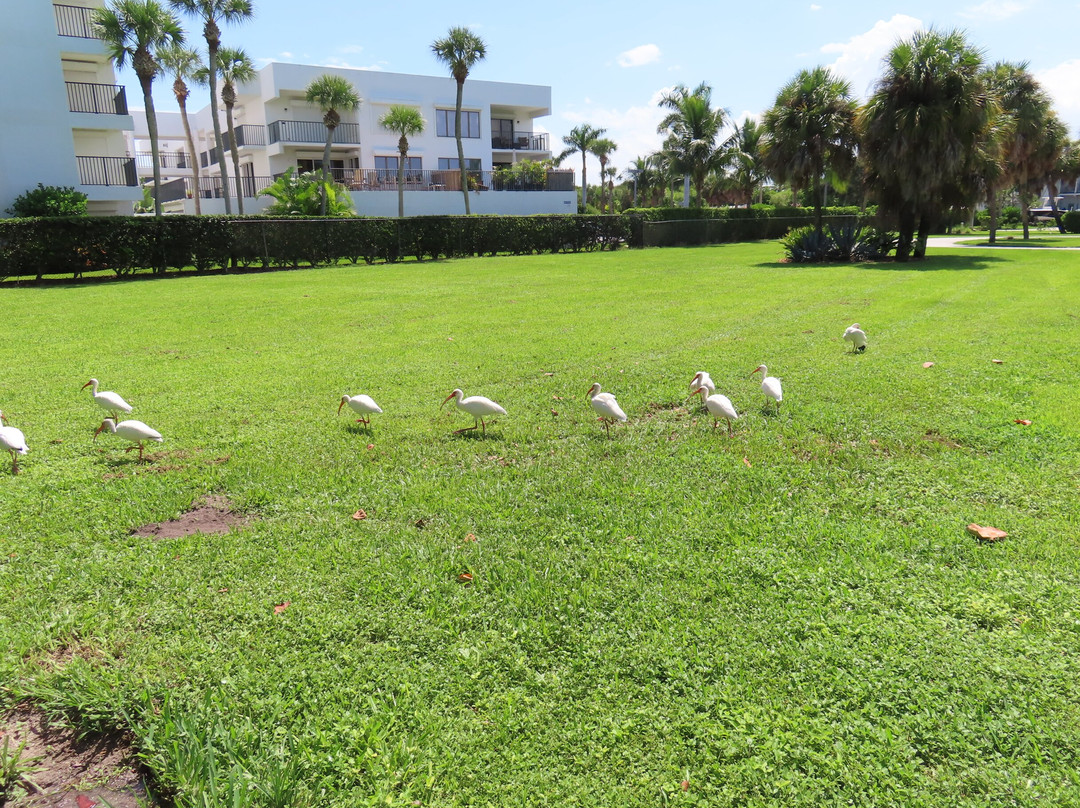 South Beach Park-维罗海滩必去景点