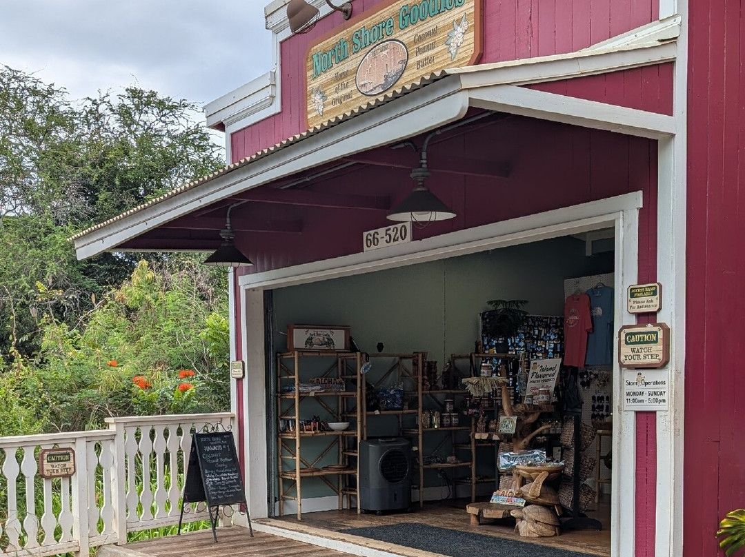 North Shore Goodies-瓦亚禄必去景点