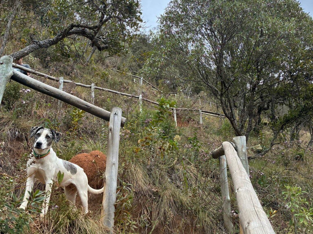 Cachoeira dos Garcias-Aiuruoca必去景点