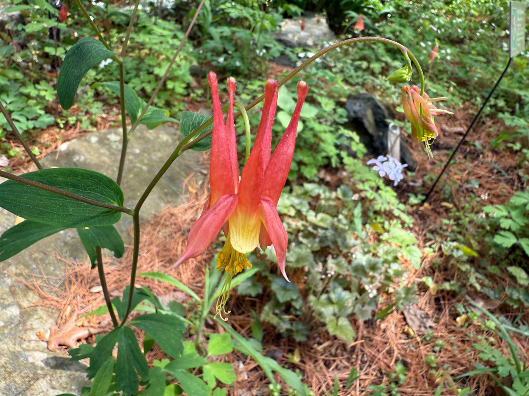Mt. Cuba Center-Hockessin必去景点