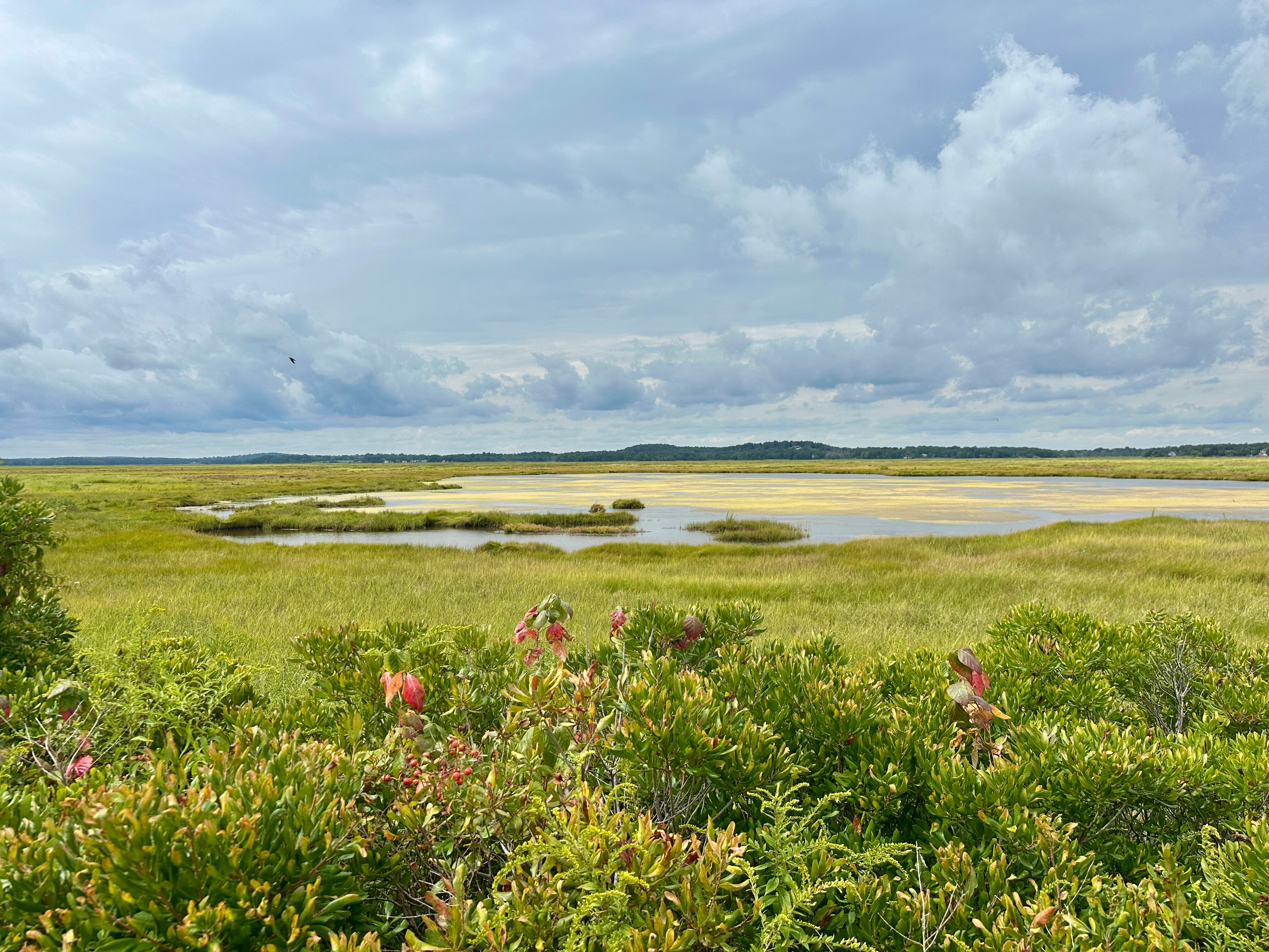 Compass Rose Inn-官方