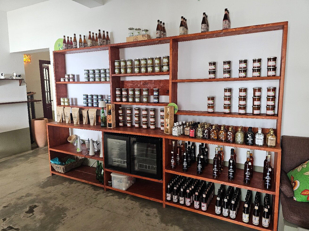 Bowlavista-good Greens