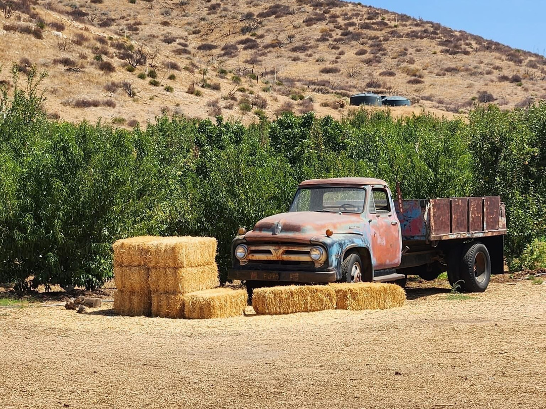 Bloom Ranch Of Acton-ACTON)必去景点