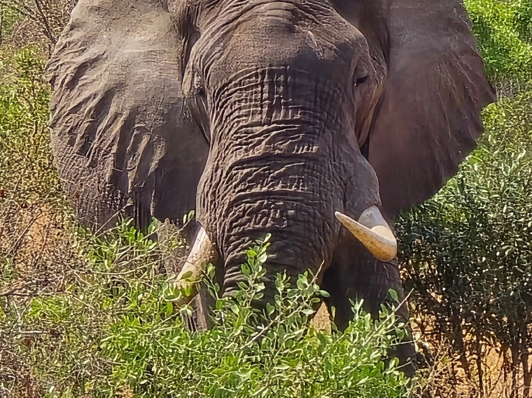 On Safari Africa-雾观必去景点