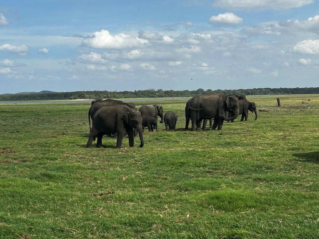 Travel with Samantha-尼甘布必去景点