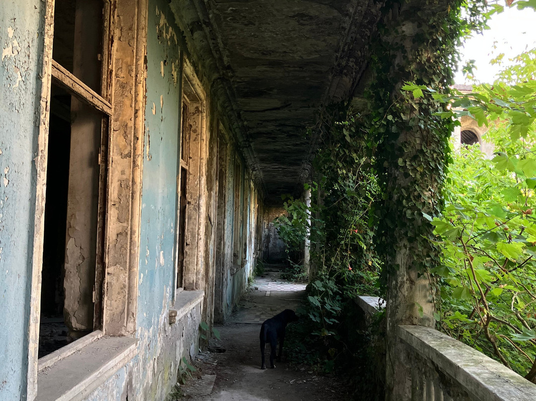 Abandoned Sanatorium Gruziya-Tskaltubo必去景点