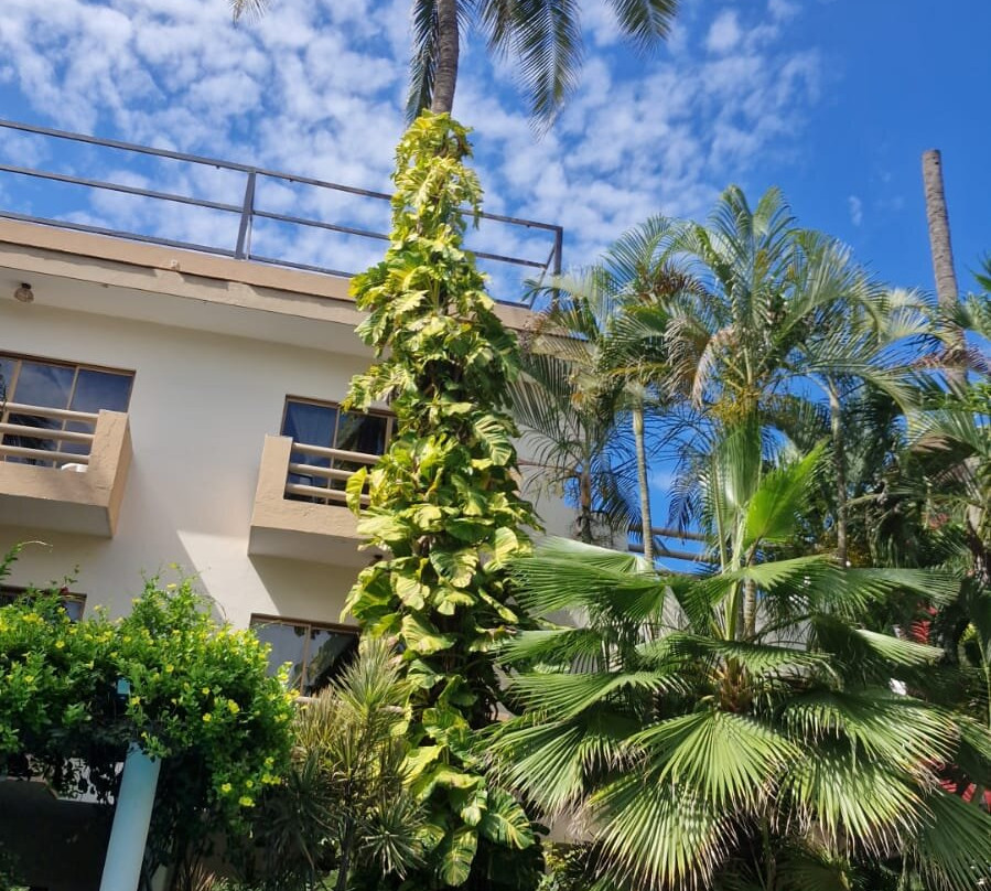 Hotel Palmeras主图