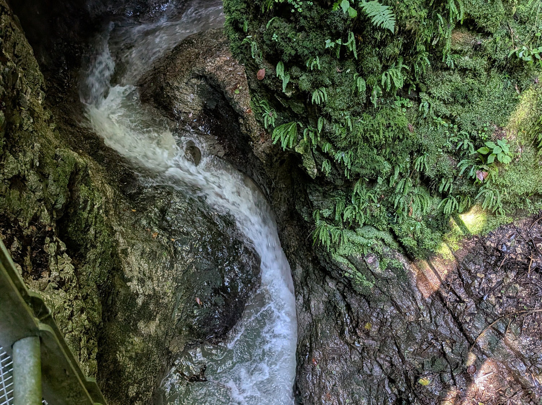 Canyon Rio Sass-Fondo必去景点