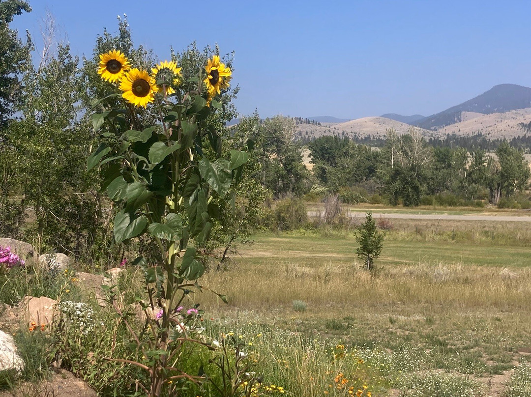 Rivers Bend Campground Boulder Mt