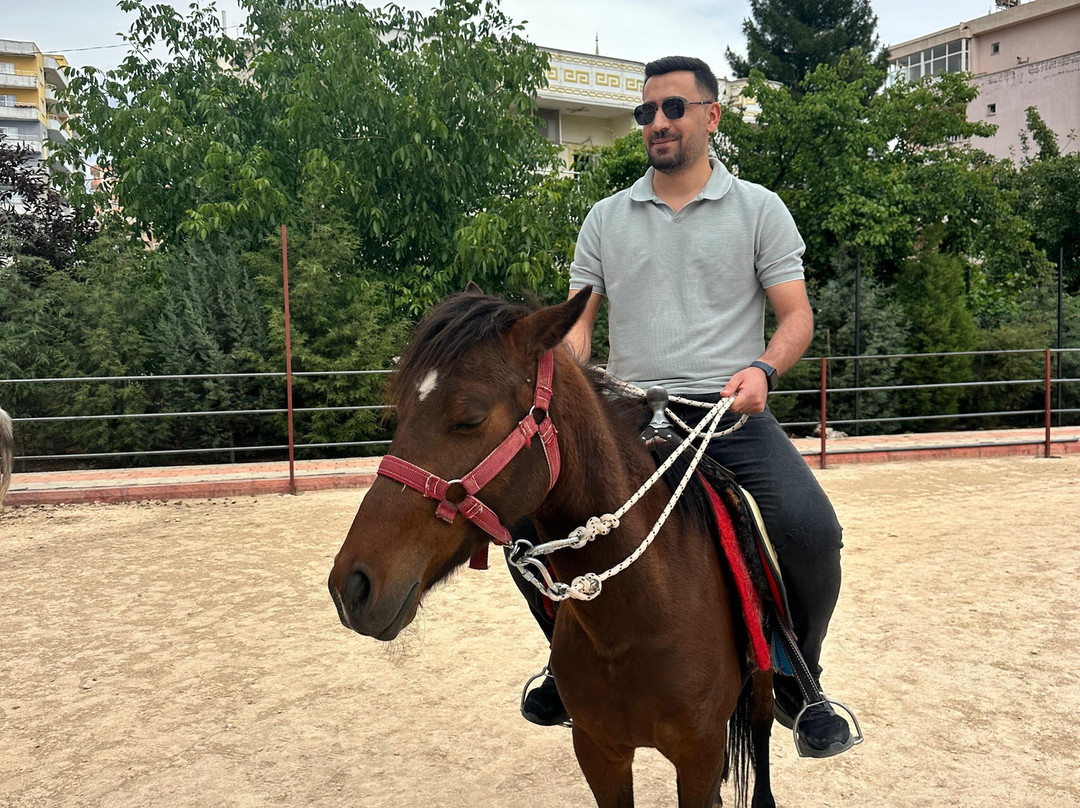 Bahcamatiate Midyat At Ciftligi Ve Mini Hayvanat Bahcesi-Midyat必去景点