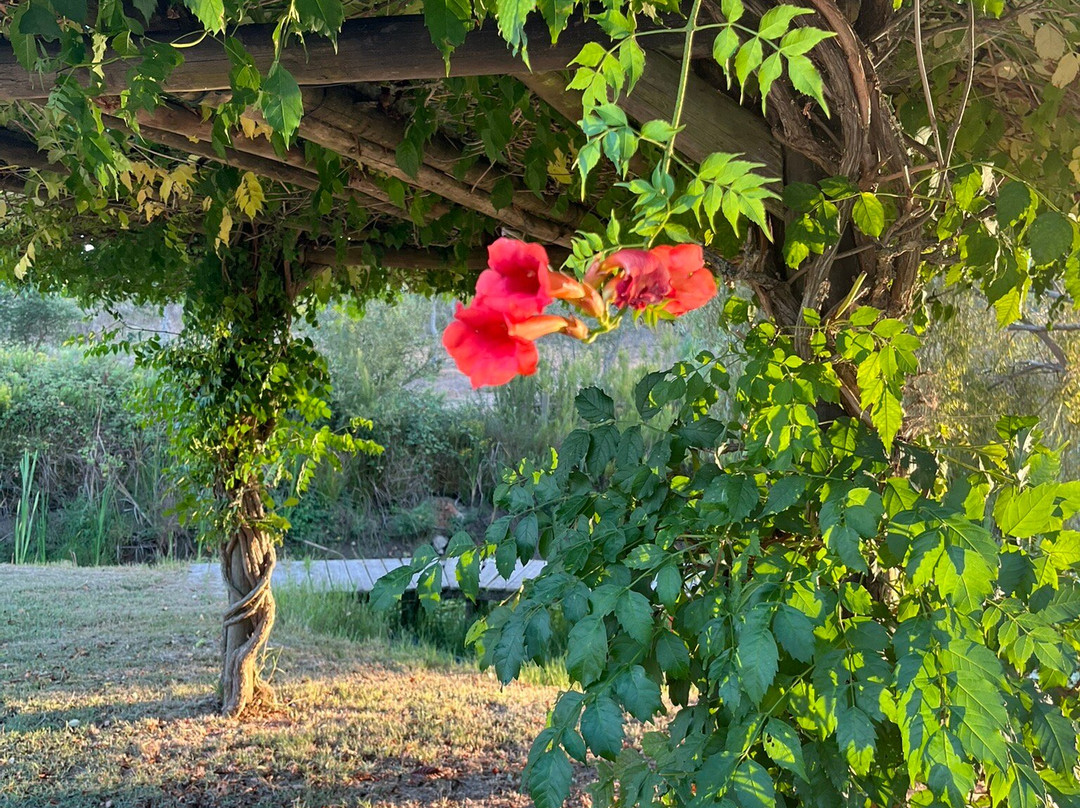 Monte Joao Roupeiro主图