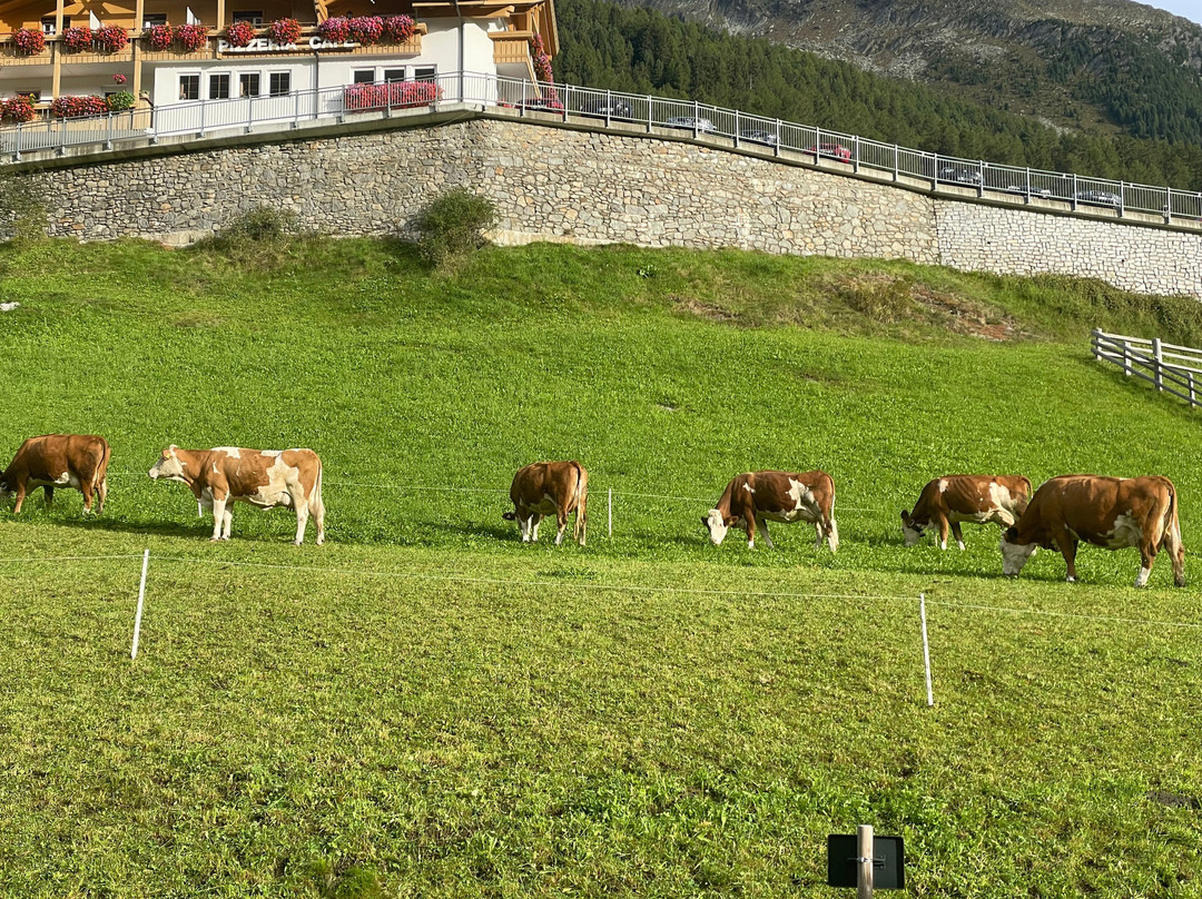 Riva di Tures酒店住宿-Hotel Berger