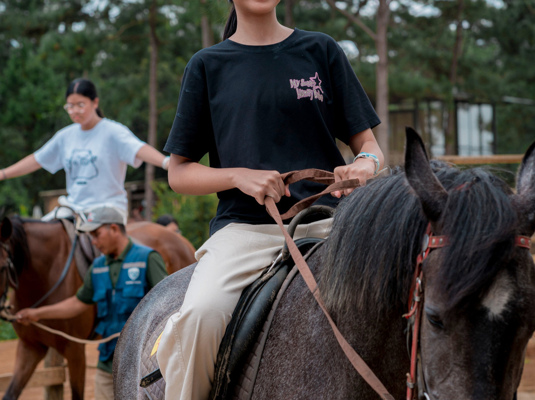 Mang Den Horse Farm-昆嵩必去景点