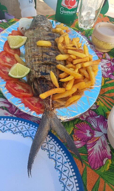 Praia do Cachorro-费尔南多-迪诺罗尼亚群岛必去景点