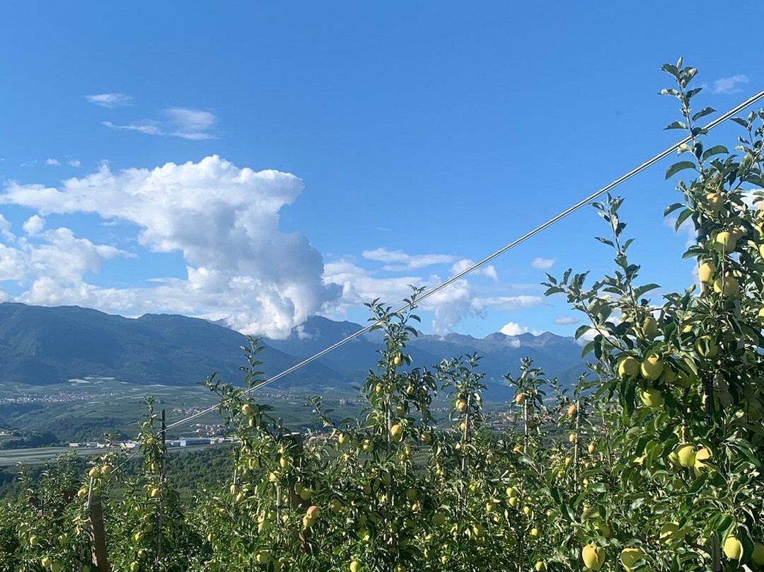 Agriturismo Golden Pause主图